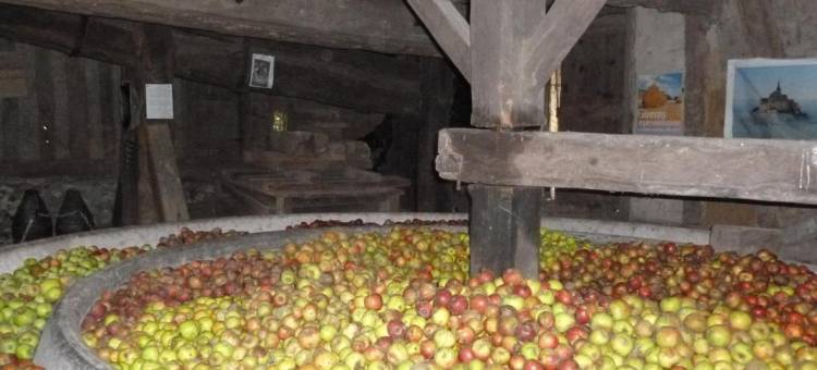 普瑞索尔农场旅馆(La Ferme du Pressoir Guest House)图片