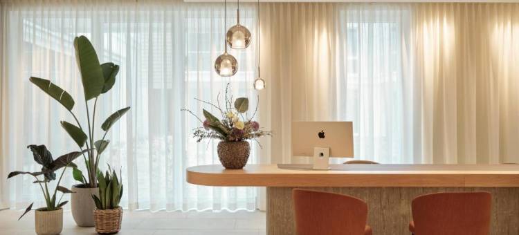 微风(The Breeze)图片