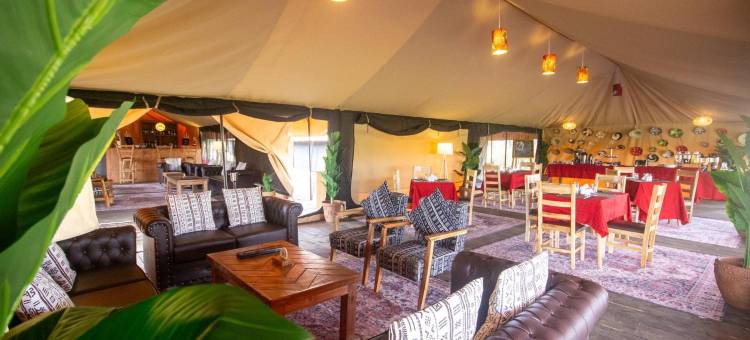非洲萨法里塞伦盖蒂科加滕德山林小屋(Africa Safari Serengeti Kogatende)图片