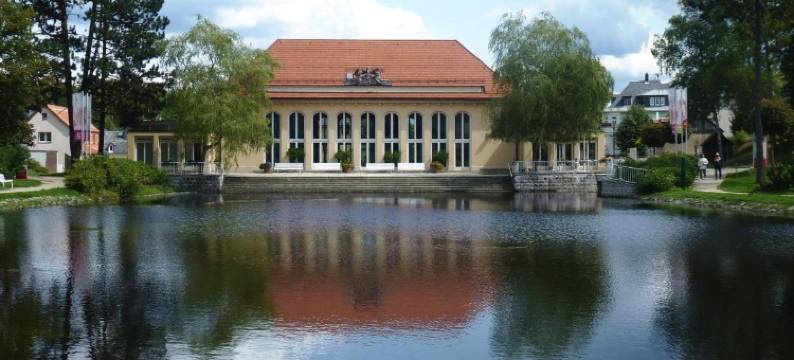 拜德布兰巴赫公园酒店(Parkhotel Bad Brambach)图片