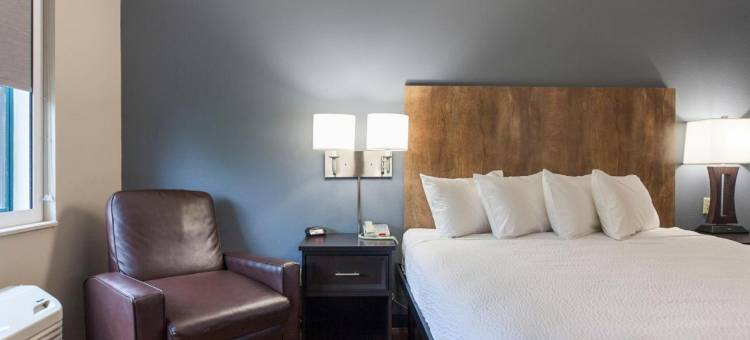 美国华盛顿亚历山德里亚兰德马克长住酒店(Extended Stay America Suites - Washington, DC - Alexandria - Landmark)图片