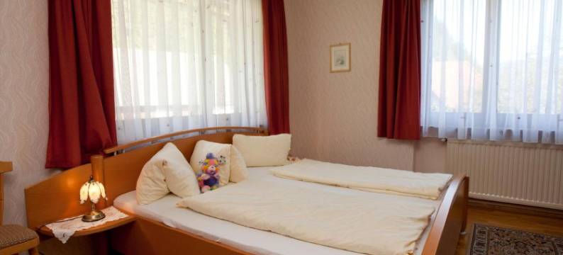 伯恩撒勒餐厅宾馆(Gasthof - Restaurant Bernthaler)图片