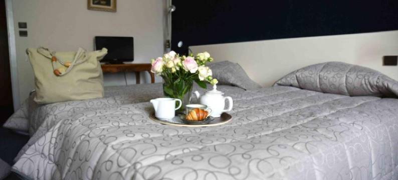 帕斯尔瑞斯酒店(Château de Passières)图片