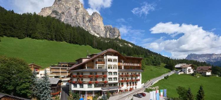 莎颂葛雷酒店(Hotel Sassongher)图片