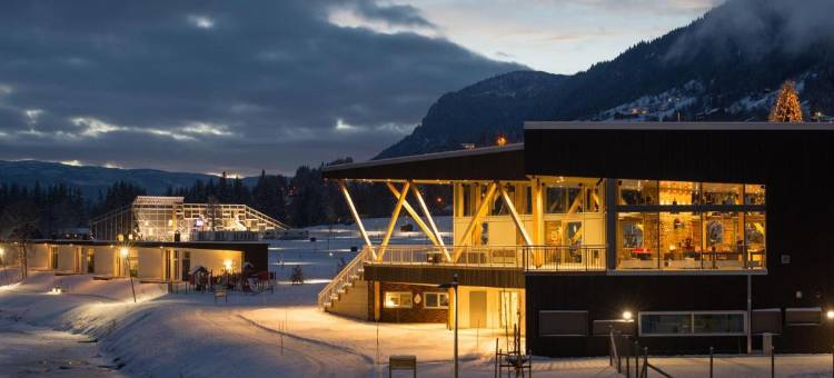 哈灵代尔非普客酒店(Topcamp Hallingdal - Ål)图片