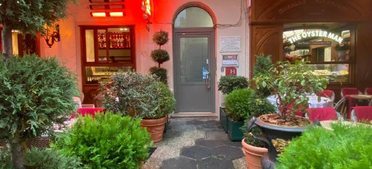 索拉哈酒店(Hotel Solara)图片
