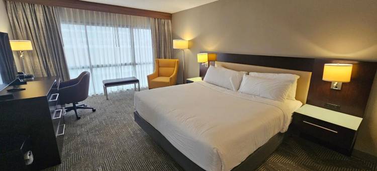 温德姆罗切斯特市中心酒店(Wyndham Rochester Downtown)图片