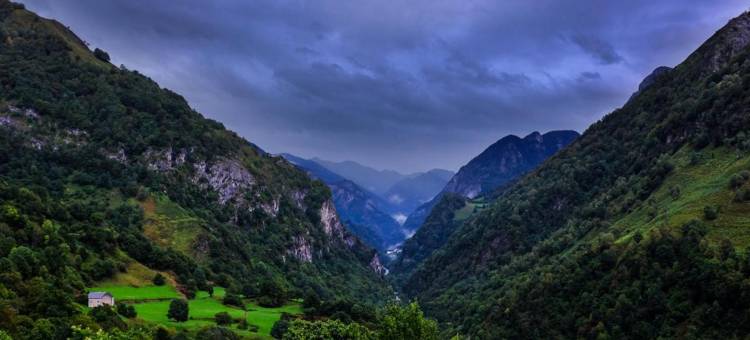 奥博格托森德奥住宿加早餐旅馆(Auberge Toison d'Or)图片