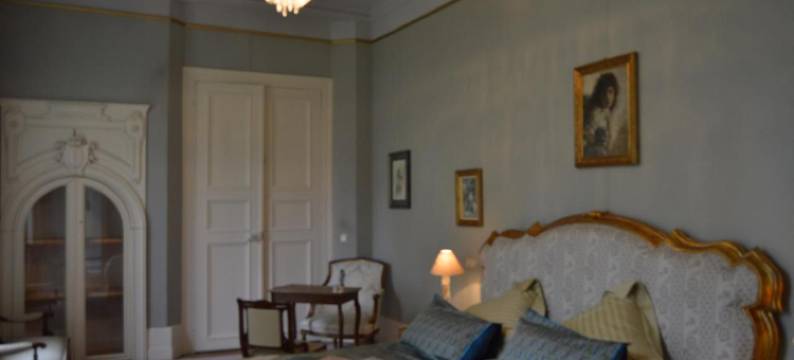 美斯尼城堡住宿加早餐旅馆(Château Mesny)图片