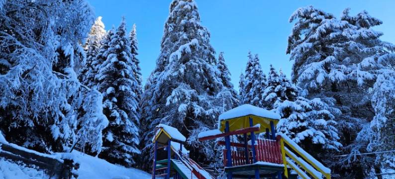 诺卡尔姆酒店(Kinder- Und Familienhotel Nockalm)图片