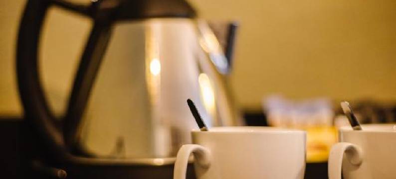 Holiday Inn 布鲁塞尔机场假日酒店(Holiday Inn BRUSSELS AIRPORT by IHG)图片