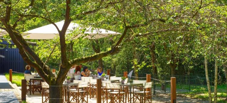 吉尔泽蒂尔堡凡德瓦克酒店(Van der Valk Hotel Gilze-Tilburg)图片