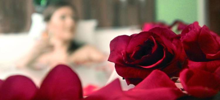 马里提萨塔班的酒店(Maritim Hotel Bad Salzuflen)图片