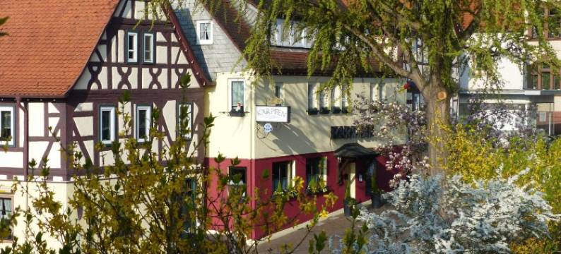 祖姆卡尔普芬酒店及餐厅(Hotel & Restaurant Zum Karpfen)图片