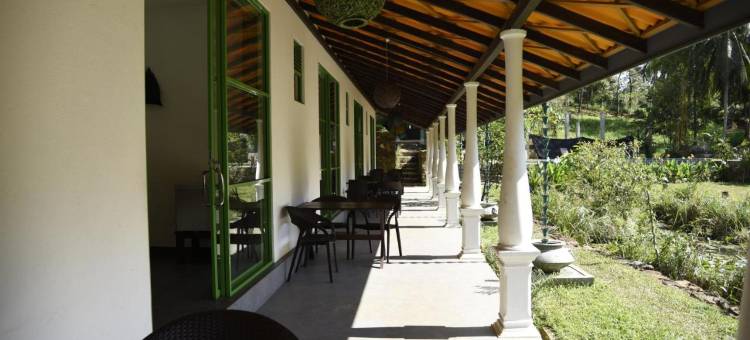 辛哈拉加森林边缘旅馆(Sinharaja Forest Edge)图片