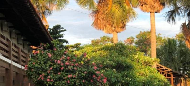 Pousada Das Palmeiras图片