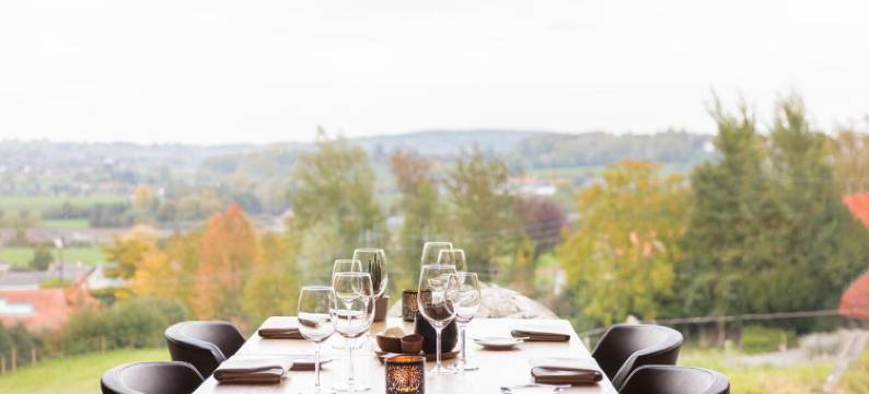 威德弗耶酒店(Vertes Feuilles)图片