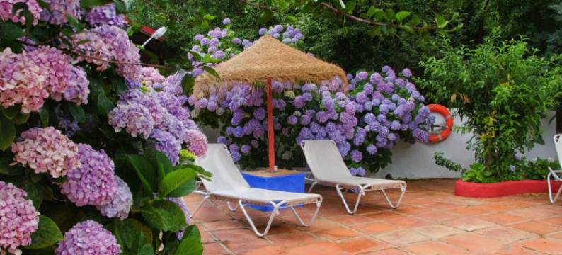 美佐德桑丘酒店(Mesón de Sancho)图片