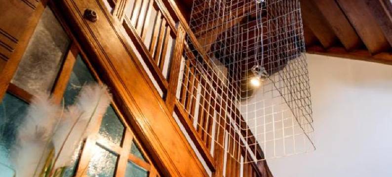 维奴姆科赫姆别墅酒店(Hotel Villa Vinum Cochem)图片