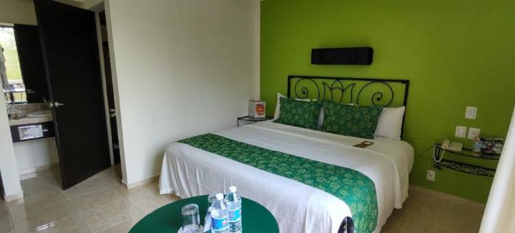 玛雅郁金香帕林科酒店(Hotel Maya Tulipanes Palenque)图片