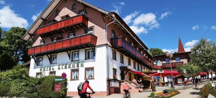 斯特内沃彻尔酒店(Wochner's Hotel-Sternen am Schluchsee Hochschwarzwald)图片