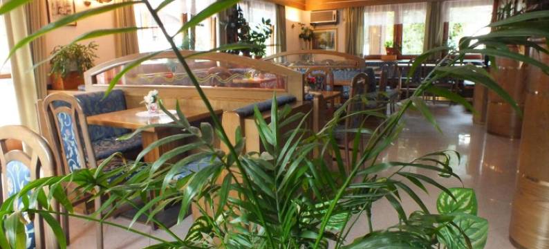 灰熊酒店(Hotel Orso Grigio)图片