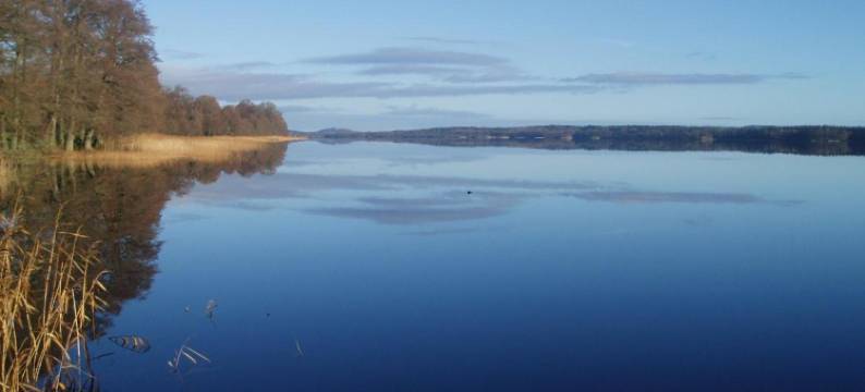 Hofsnäs Lilla Sjöstuga图片