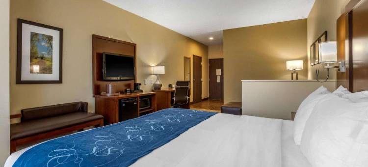 舒适套房酒店(Comfort Suites)图片
