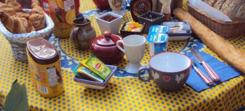 拉多洛尔住宿加早餐旅馆(La Douloire)图片