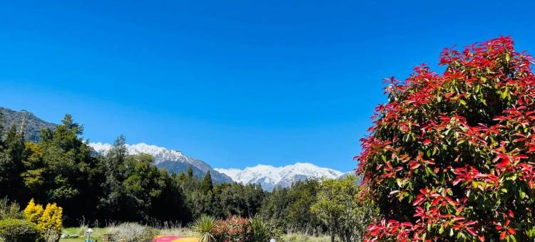 法兰兹约瑟夫十佳假日公园酒店(Franz Josef Top 10 Holiday Park)图片