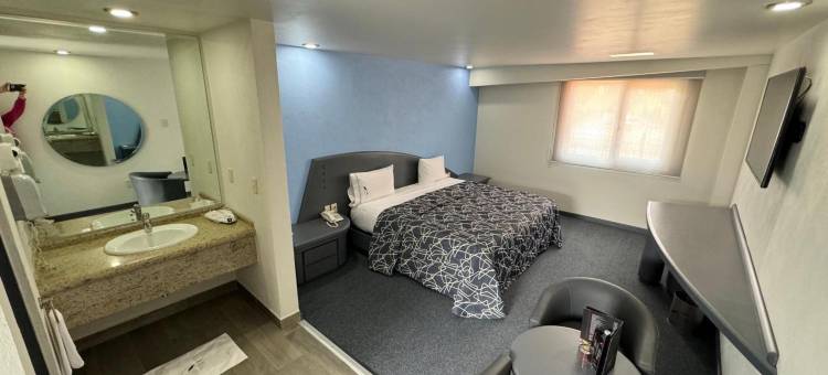 托卢卡协和酒店(Hotel Concorde Toluca)图片