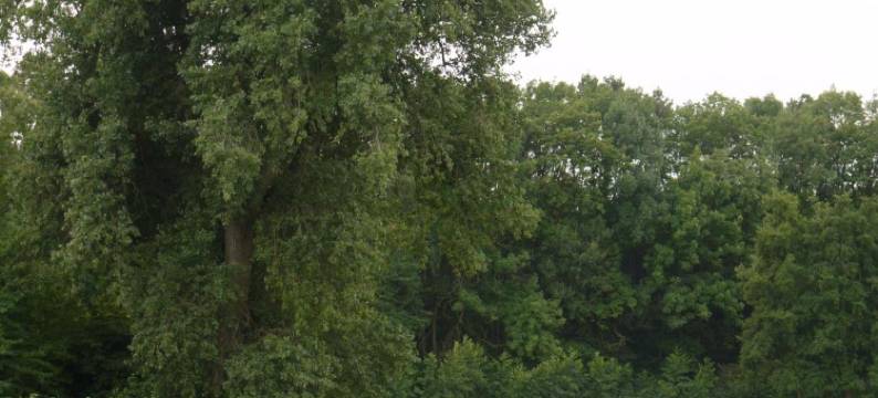 汝荷斯坦德泰利纳酒店(Ruhrstadtarena Hotel)图片