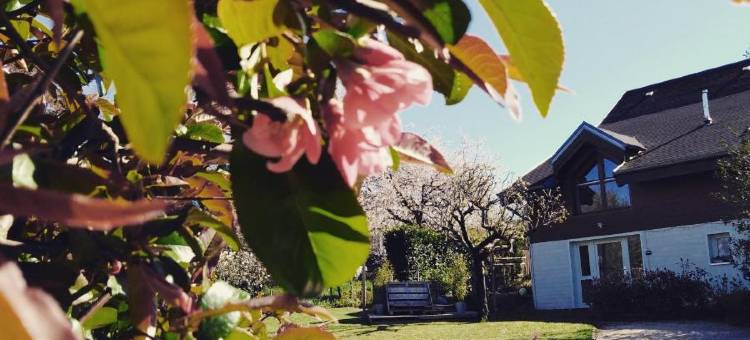 巴乔尔木屋旅馆酒店(Chalet la Bachole)图片