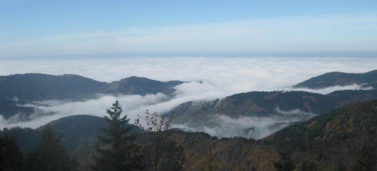 DEVA酒店Renchtalblick(Deva Hotel Renchtalblick)图片