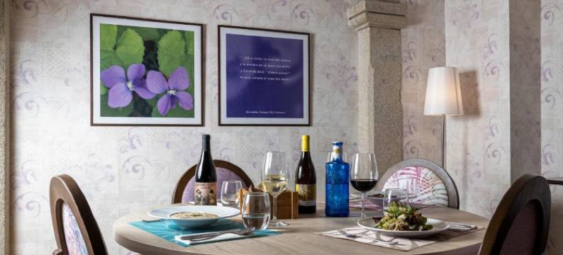 埃洛伊比耶索广场酒店(Hotel Aroi Bierzo Plaza)图片