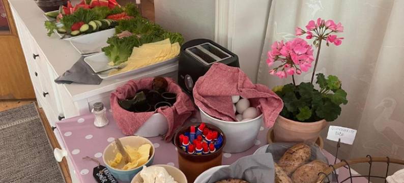 Gåsen Out B&B图片