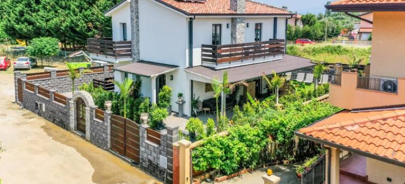 异域风情(Eksōtika)图片