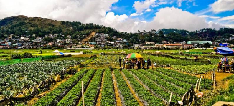 Gamal 360 Transient Baguio City图片