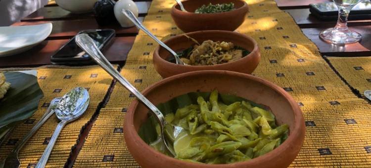 威尔帕图大型游戏酒店-生态团队(Big Game - Wilpattu by Eco Team)图片