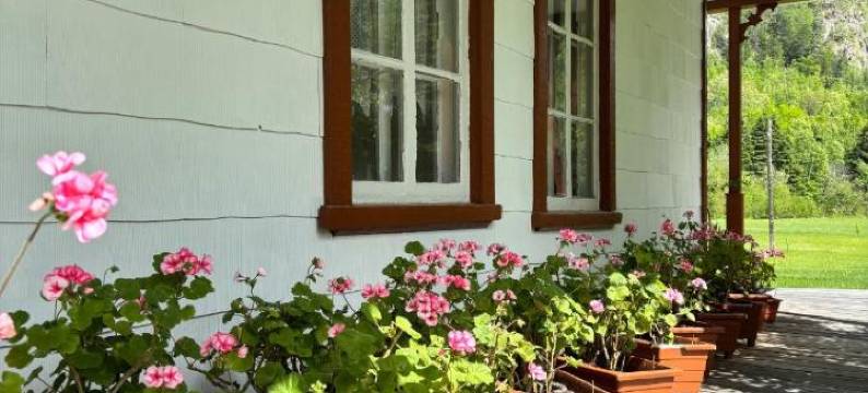 奥博格度杰丁宾馆(Auberge du Jardin)图片