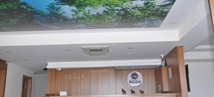 龙戈兹酒店(Longoz Hotel)图片