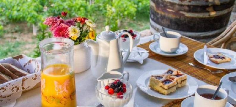 佩特里诺酒店(Petrino)图片