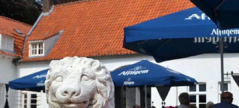 Kasteel Aldenghoor图片