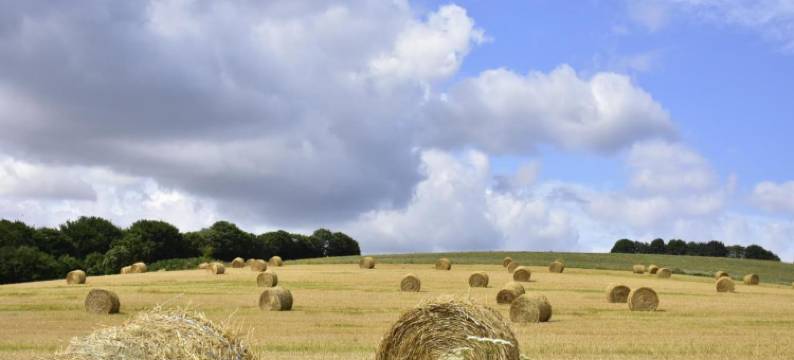 塔尔住宿加早餐旅馆(La Tale)图片