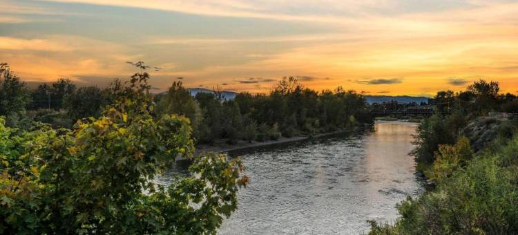 大学舒适酒店(Comfort Inn University)图片