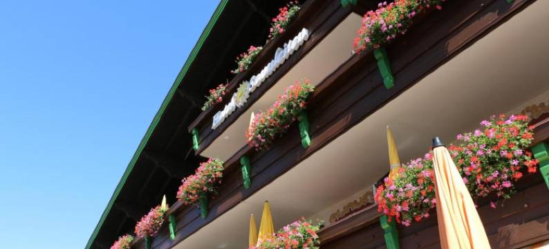 松莱登德瓦酒店(Hotel Sonnleiten)图片