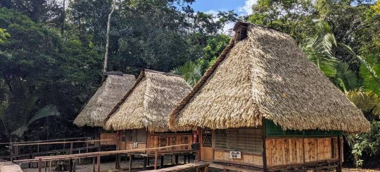 库亚贝诺河山林小屋(Cuyabeno River Lodge)图片