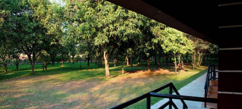 松林度假村(Pinewood Resort)图片