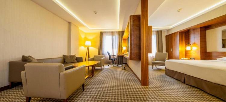 安卡拉海葵酒店(Anemon Kent Ankara Otel)图片