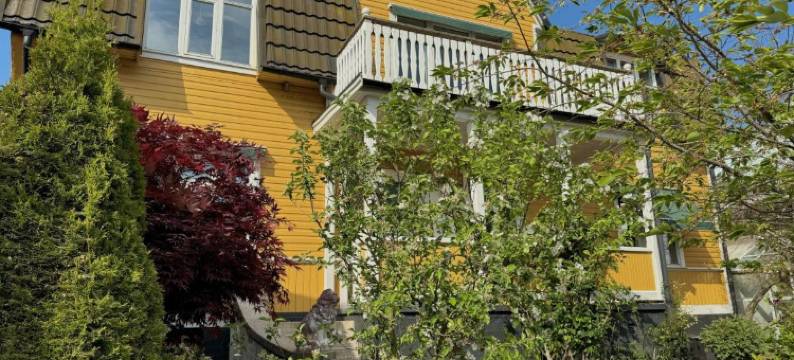 曼盖欣 1 酒店(Hotell Magasin 1)图片